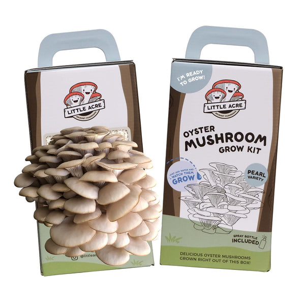 Pearl Oyster Mushroom Grow Kit