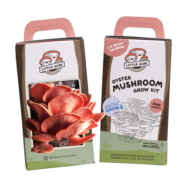 Pink Oyster Mushroom Grow Kit