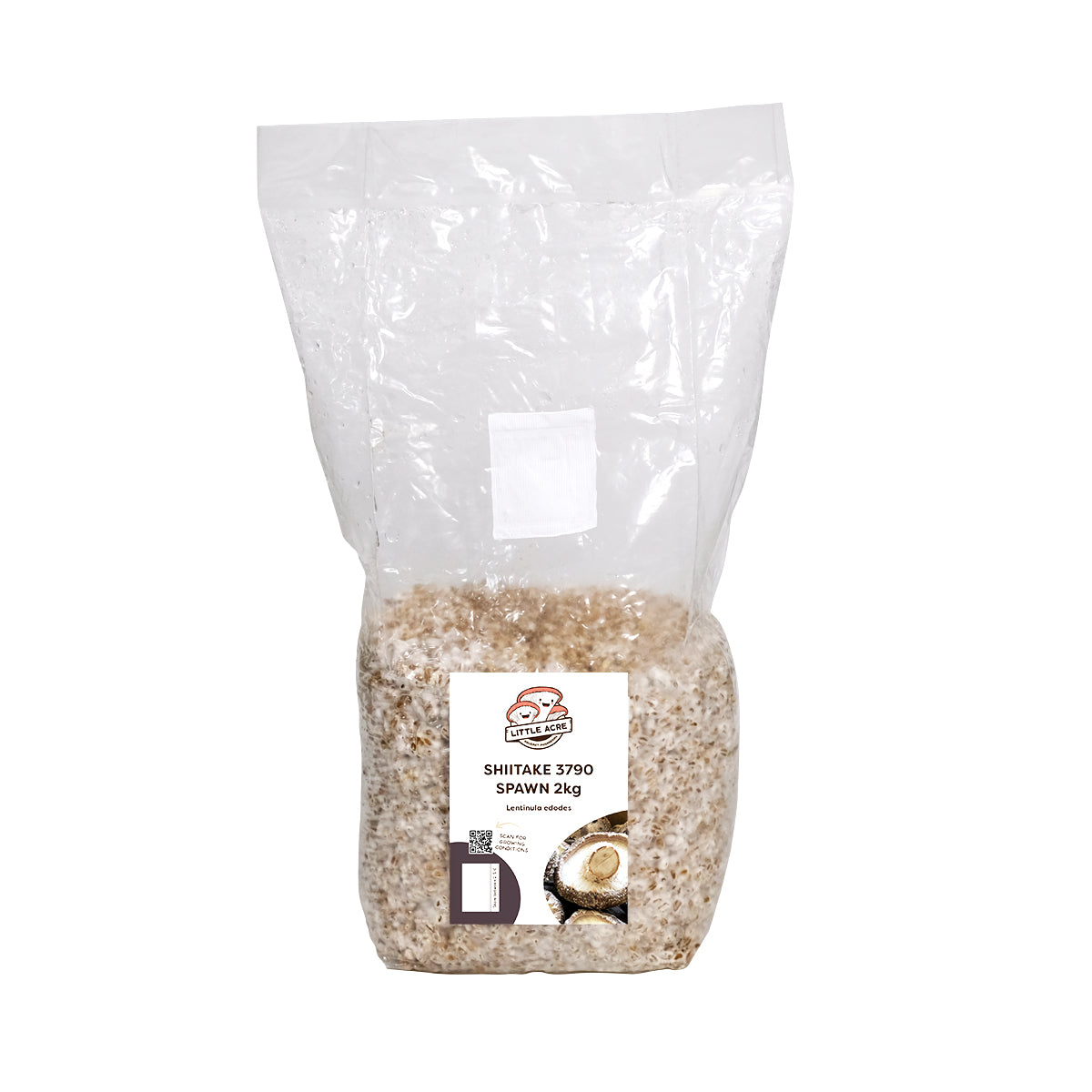 Shiitake Mushroom Grain Spawn (3790) Little Acre