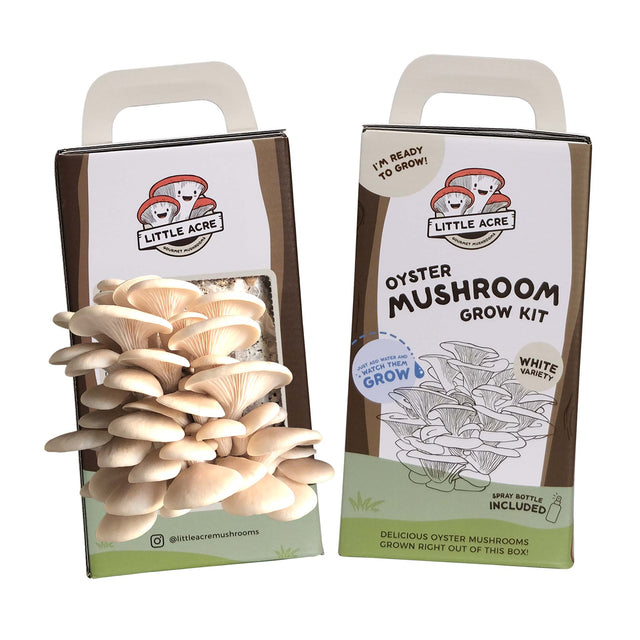 White Oyster Mushroom Grow Kit