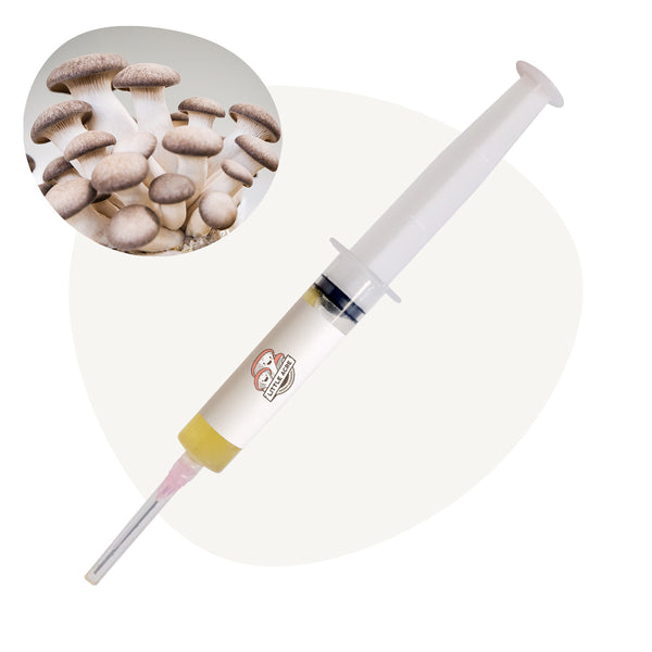 Black Pearl King Mushroom Liquid Culture Syringe