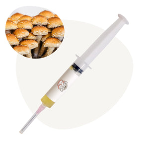 Chestnut Mushroom Liquid Culture Syringe