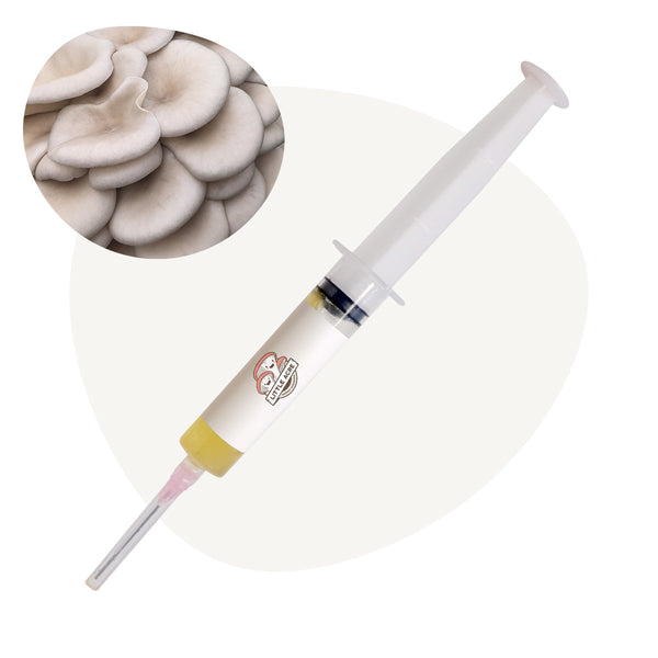 Pearl Oyster Mushroom Liquid Culture Syringe