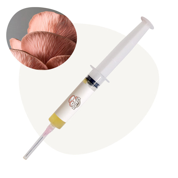 Pink Oyster Mushroom Liquid Culture Syringe