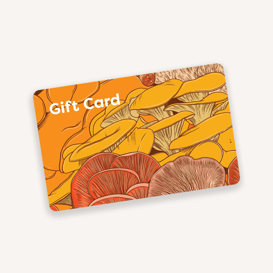 NZ $150 Gift Card Gift Voucher + Free Post Card + Free Shipping (Physi —  Anime House