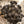 Load image into Gallery viewer, Black Pearl King Oyster Mushroom Spawn (Pleurotus Hybrid)
