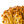 Golden Enoki Mushroom Spawn (Flammulina velutipes)