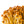 Load image into Gallery viewer, Golden Enoki Mushroom Spawn (Flammulina velutipes)

