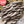 Load image into Gallery viewer, Pearl Oyster Mushroom Spawn (Pleurotus ostreatus)

