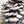 Load image into Gallery viewer, Silver Shimeji Mushroom Spawn (Pleurotus ostreatus)
